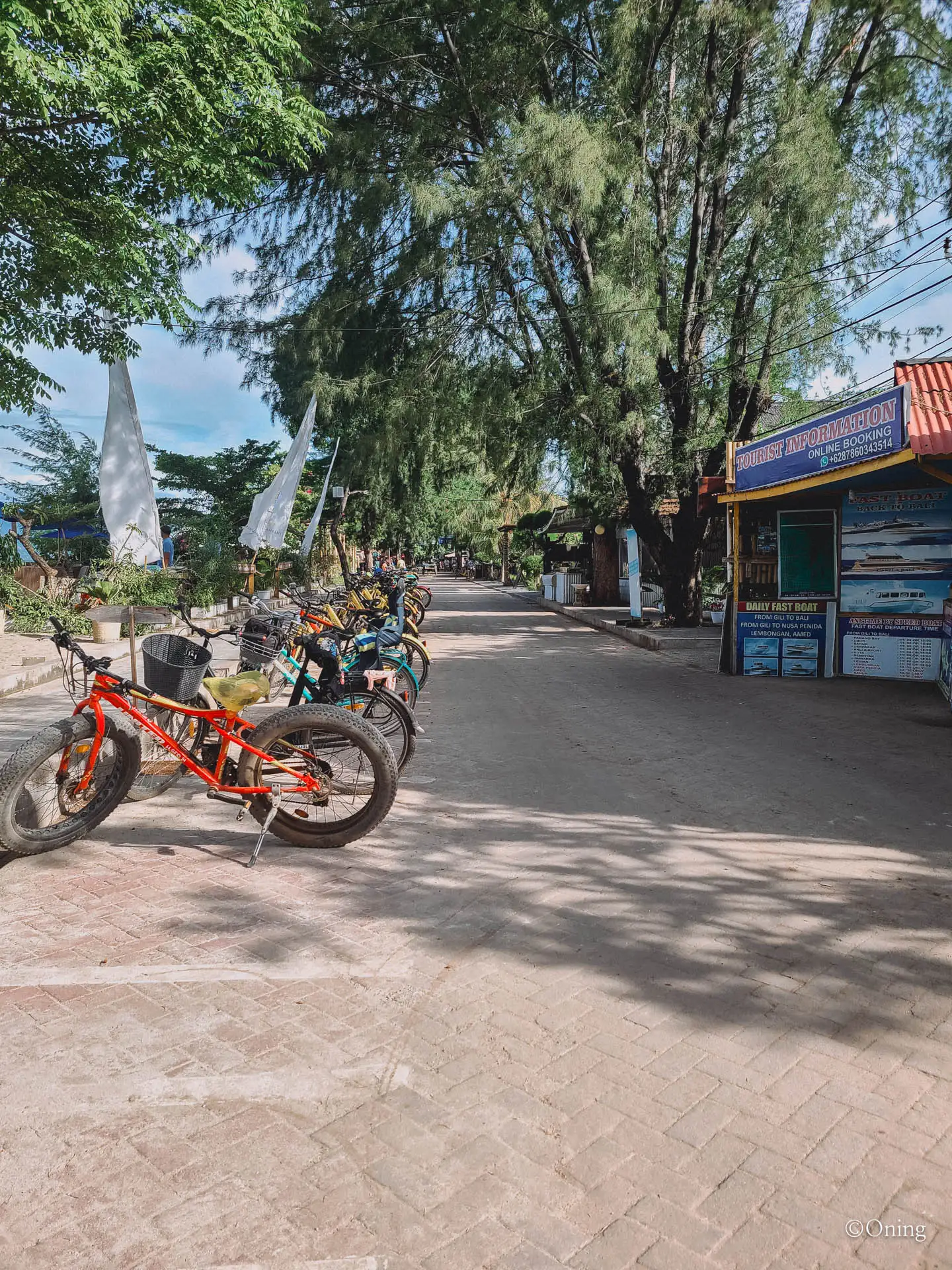 Gili Trawangan island, a small tropical island near Bali where crystal-clear waters meet vibrant nightlife. 14 gili trawangan transportation bike