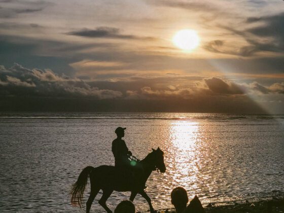 gili trawangan sunset horse riding