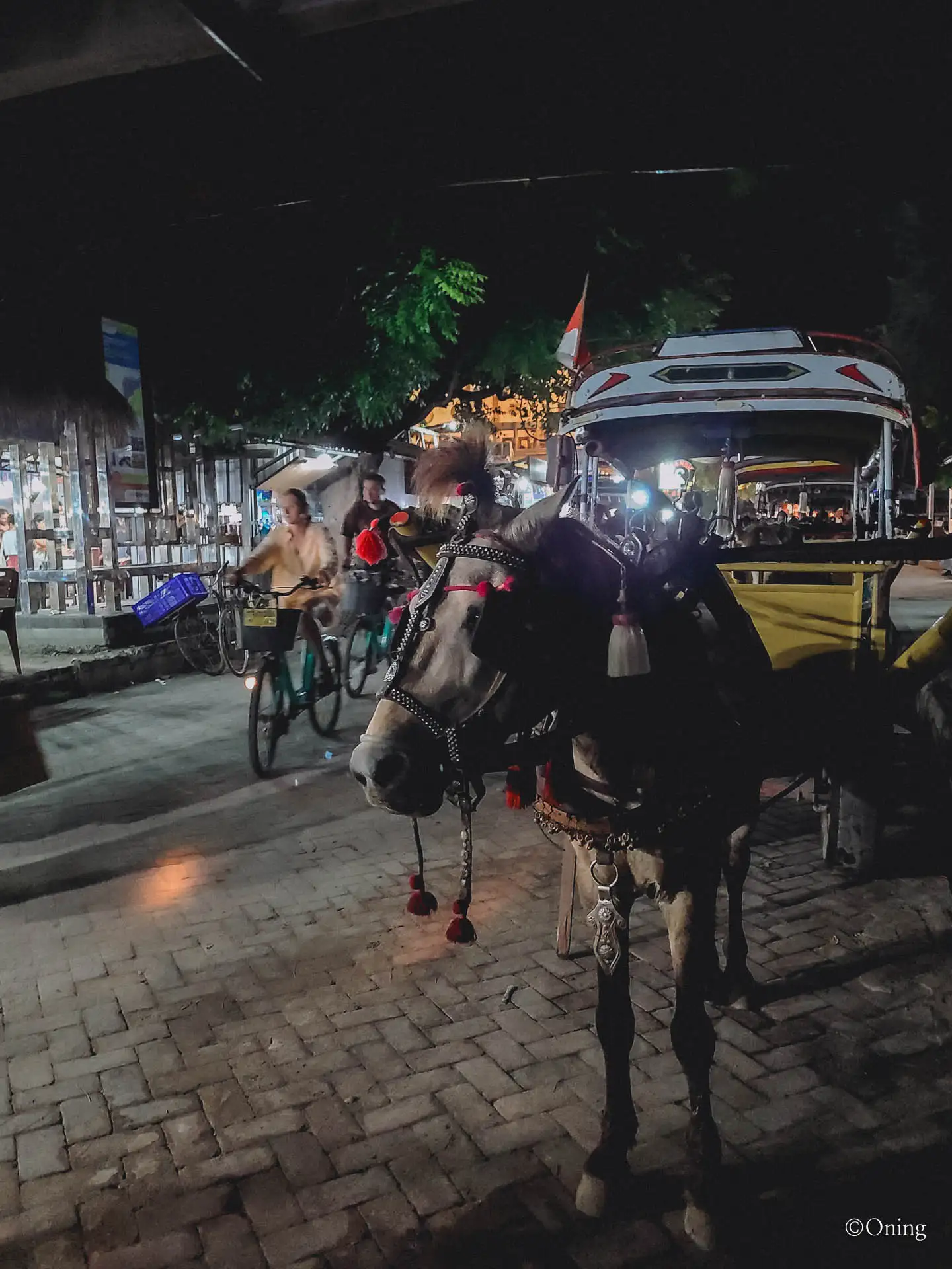 Gili Trawangan island, a small tropical island near Bali where crystal-clear waters meet vibrant nightlife. 13 gili trawangan transportation horse cart