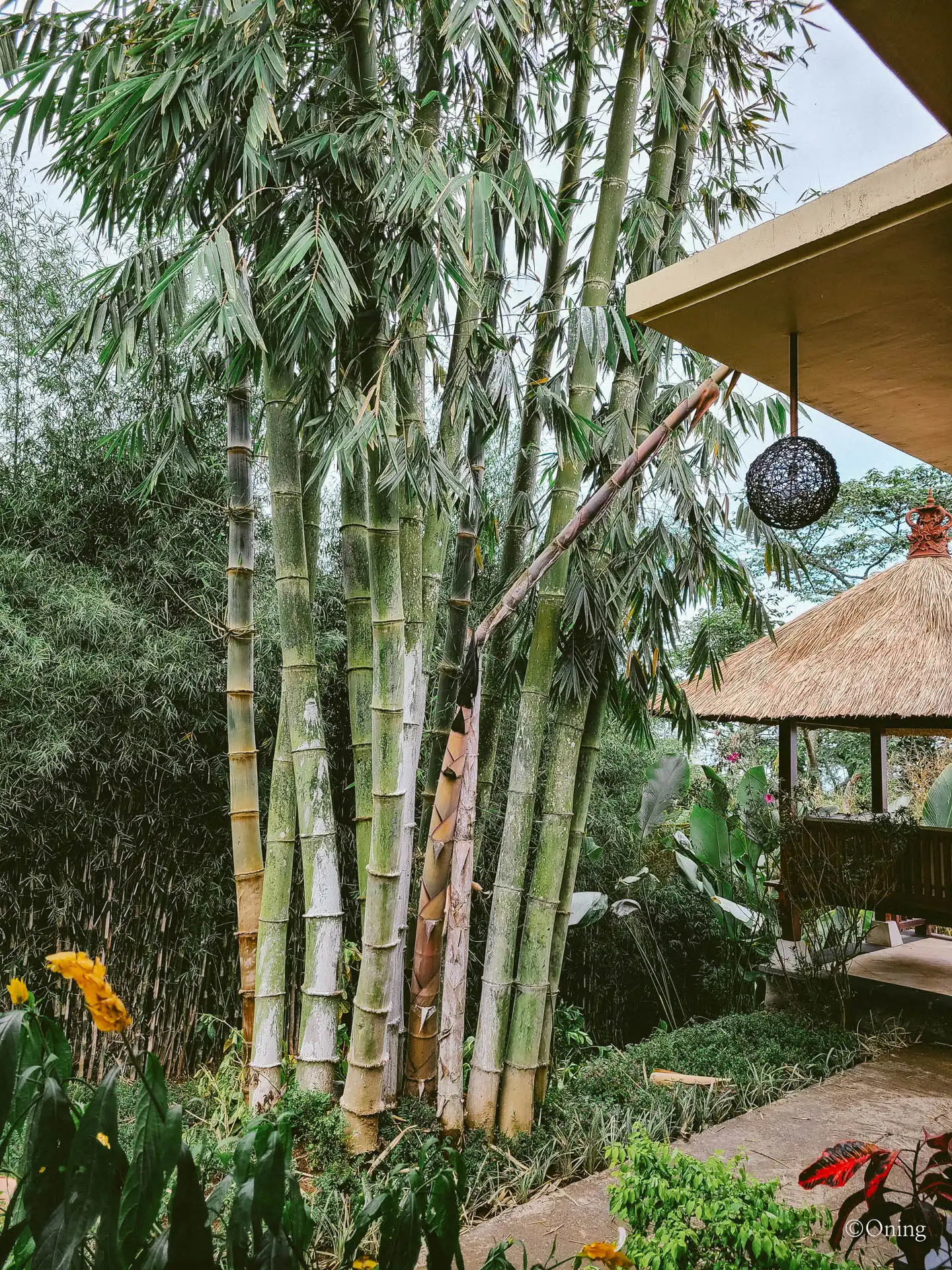 발리 여행 : 문둑 모딩 플랜테이션 풀빌라, 밤부 페퉁 빌라(Big Bamboo Villa) 후기 29 밤부 페퉁