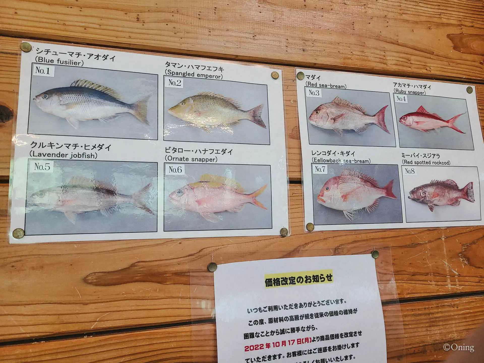 오키나와 가족여행 맛집 : 오키나와 아기랑 부모님 모두 만족한 해선식당 하마노야 23 하마노야 추천메뉴 버터생선구이 생선 종류