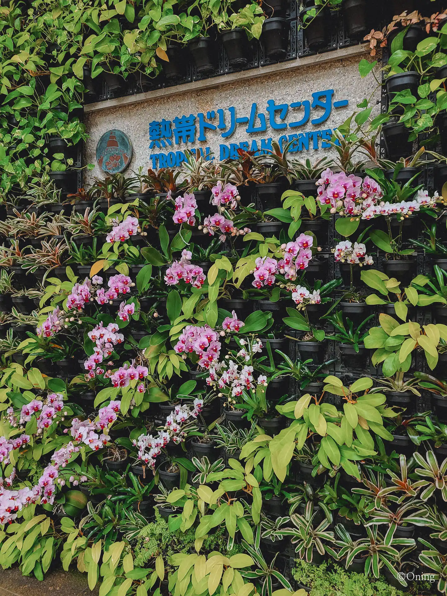 열대 드림센터 입구