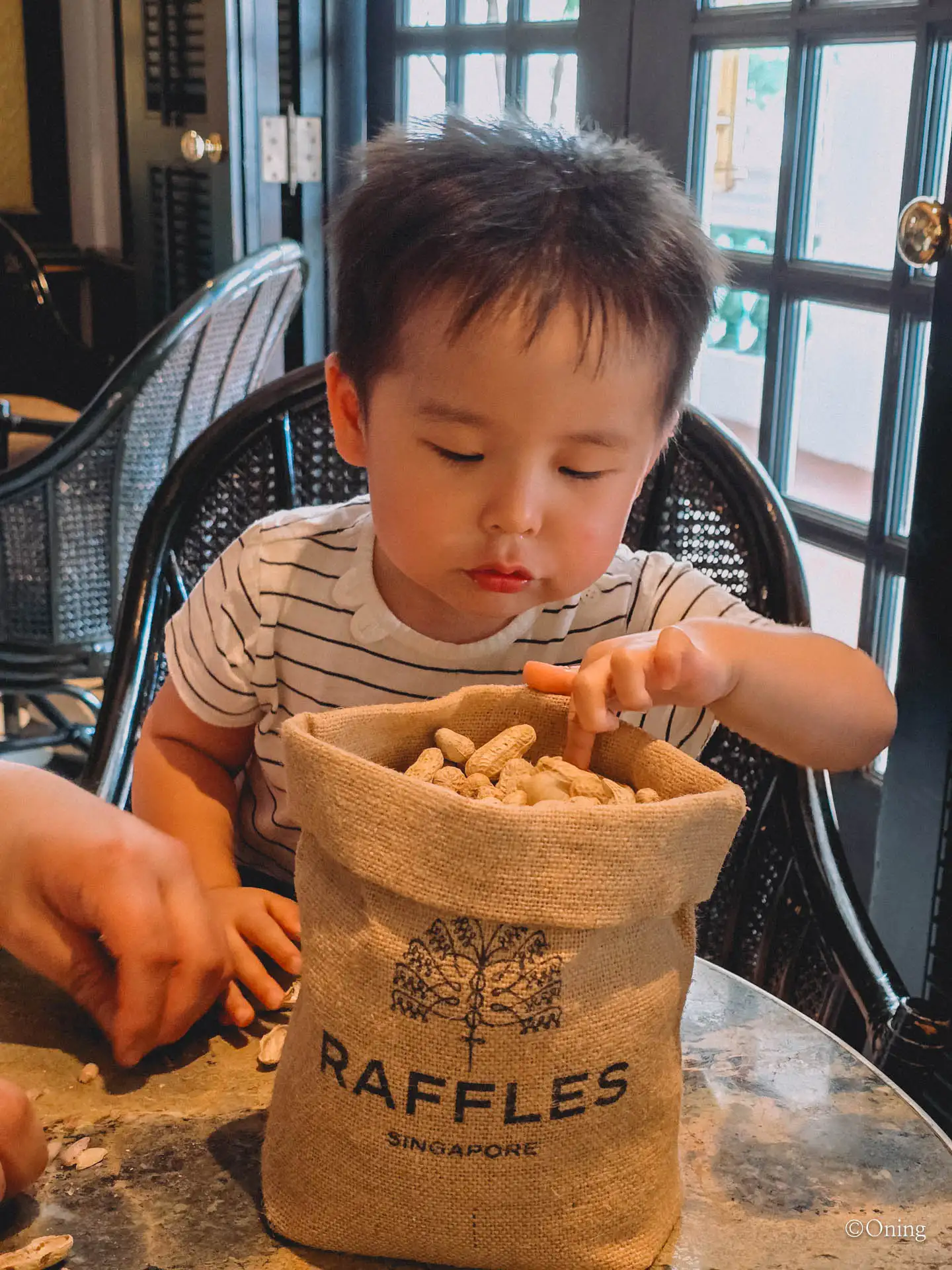 Breakfast at Raffles Hotel & Singapore Sling at Long Bar: A True Singapore Heritage Experience 72 Raffles Long Bar peanuts