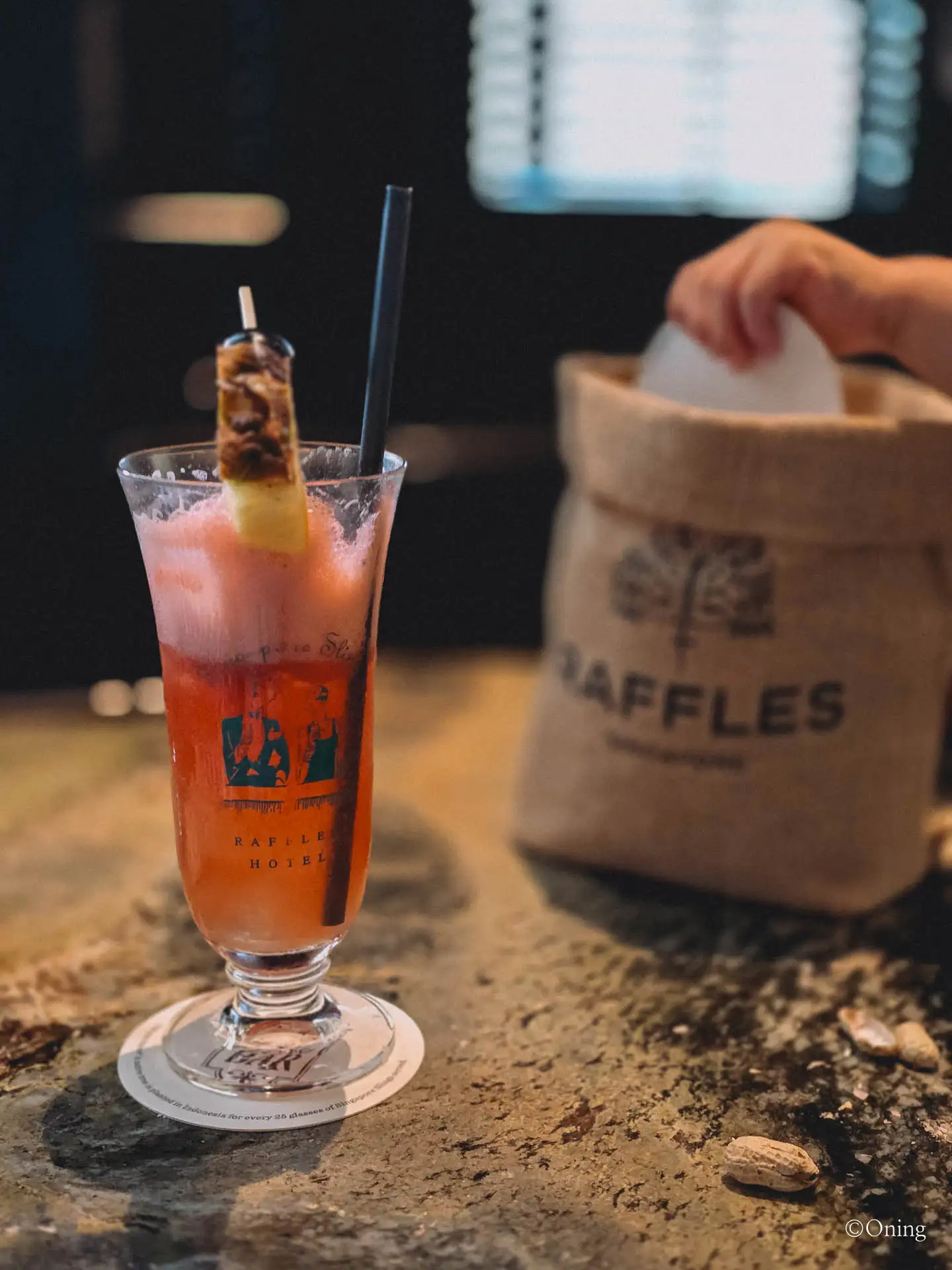 Breakfast at Raffles Hotel & Singapore Sling at Long Bar: A True Singapore Heritage Experience 74 Raffles Long Bar Singapore Sling