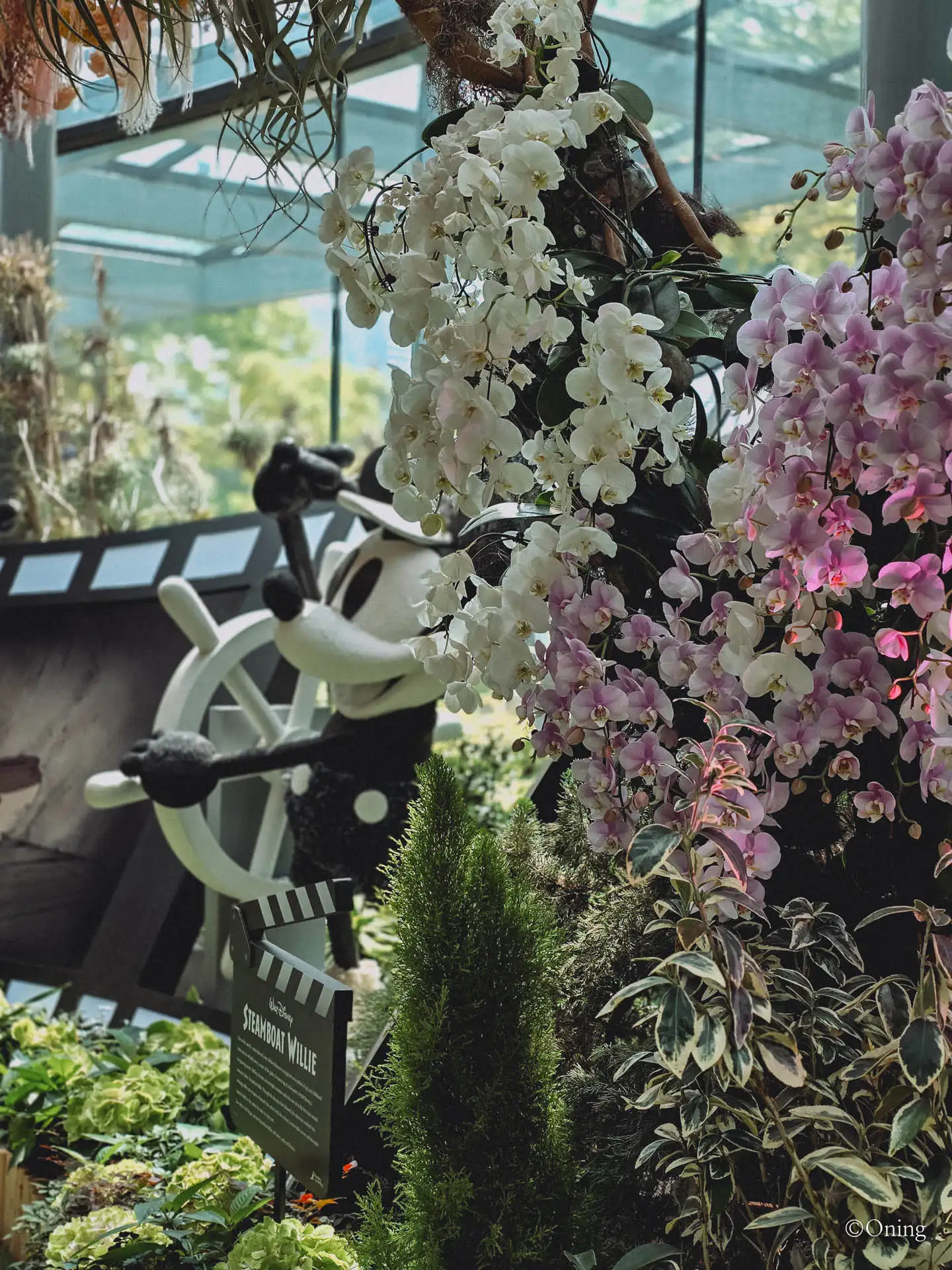 Singapore travel place: Floral Fantasy