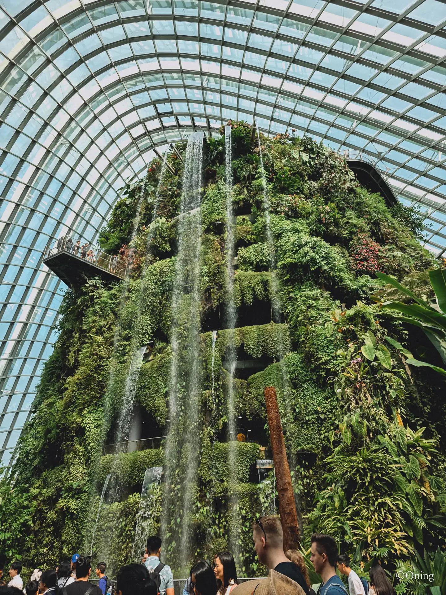 Singapore travel place: Cloud Forest