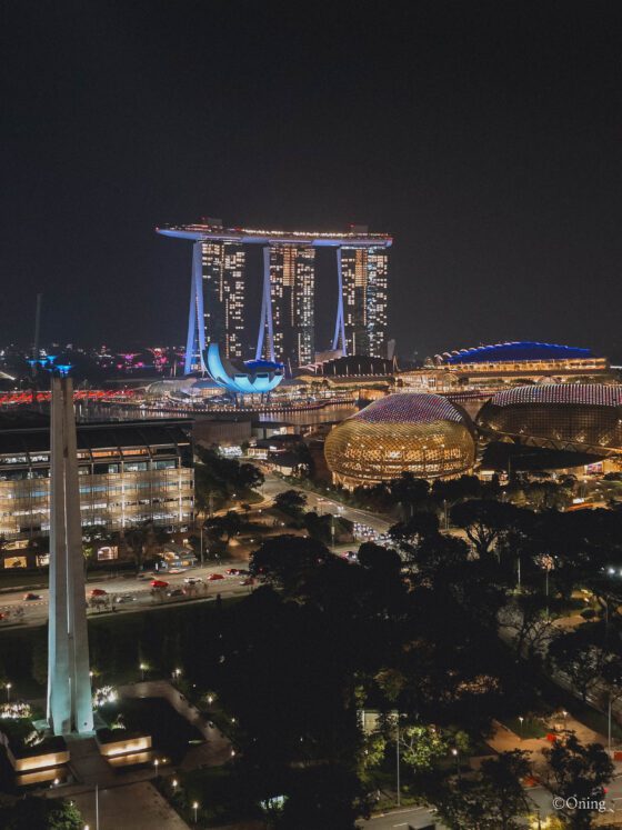 singapore travel singapore sands hotel night view