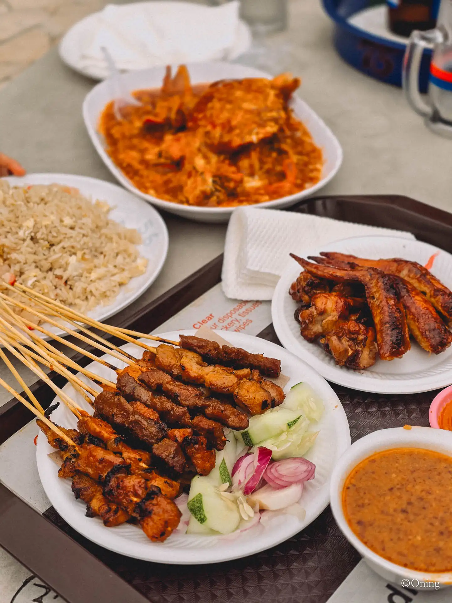 Complete Guide to Singapore Hawker Centers: Best Food Courts for Budget Travel 28 Singapore Satay