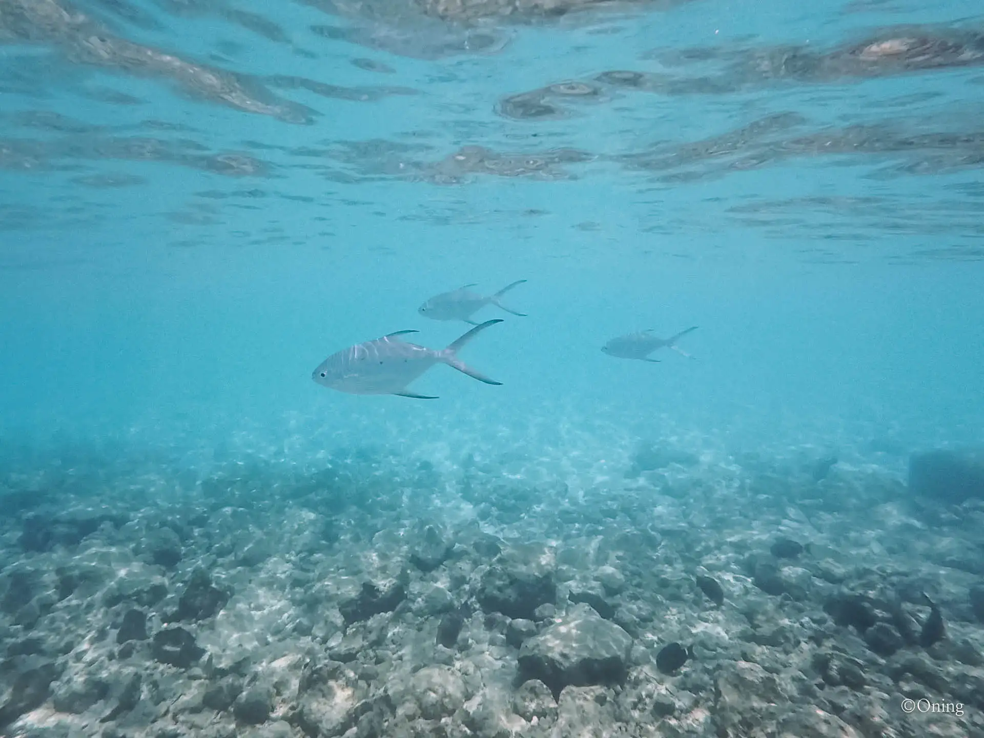 Cora Cora Maldives Resort Review: The Perfect All-Inclusive Family Paradise 454 Cora Cora Maldives Resort Review: The Perfect All-Inclusive Family Paradise 453