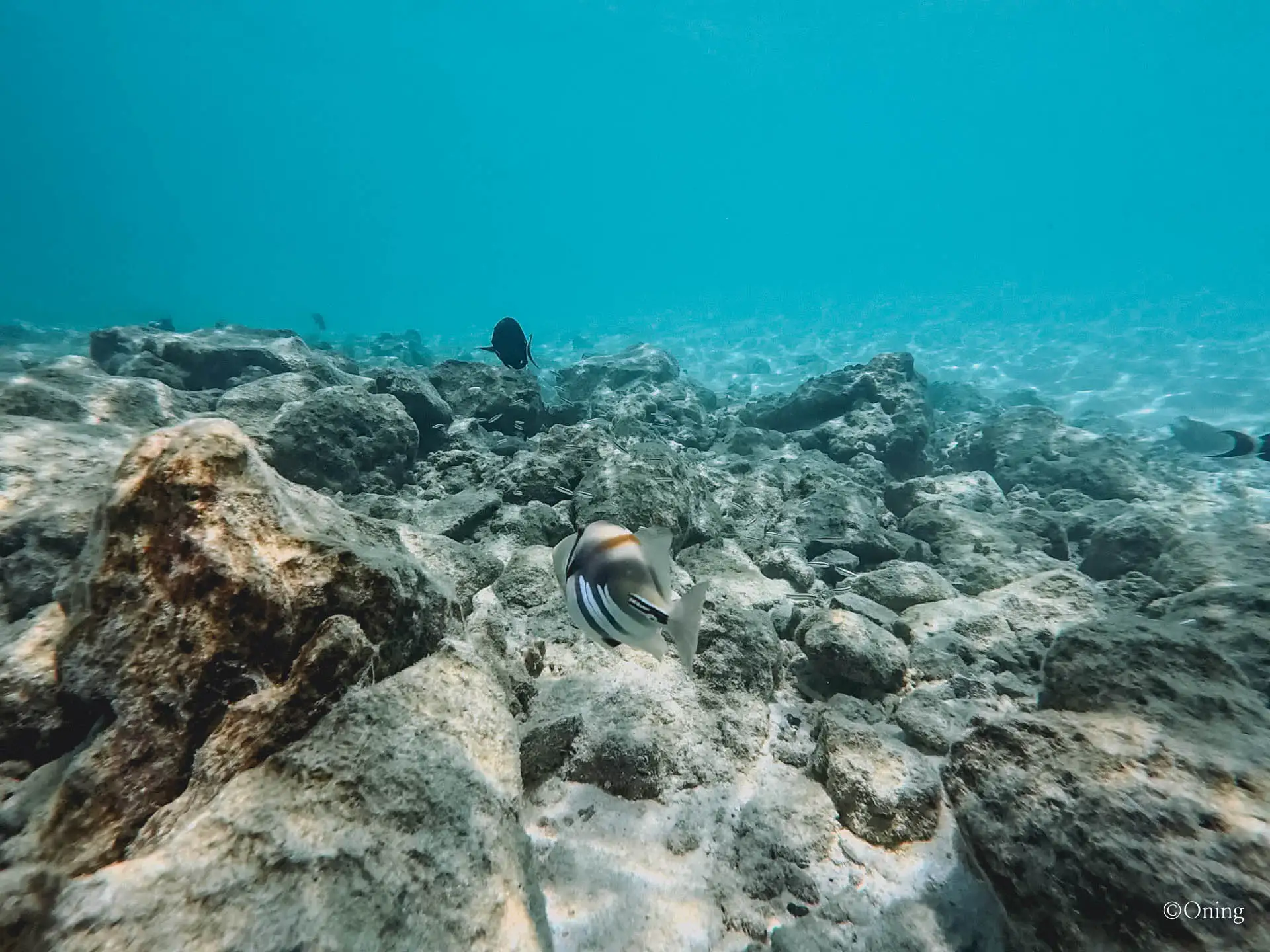 Cora Cora Maldives Resort Review: The Perfect All-Inclusive Family Paradise 446 Cora Cora Maldives Resort Review: The Perfect All-Inclusive Family Paradise 445