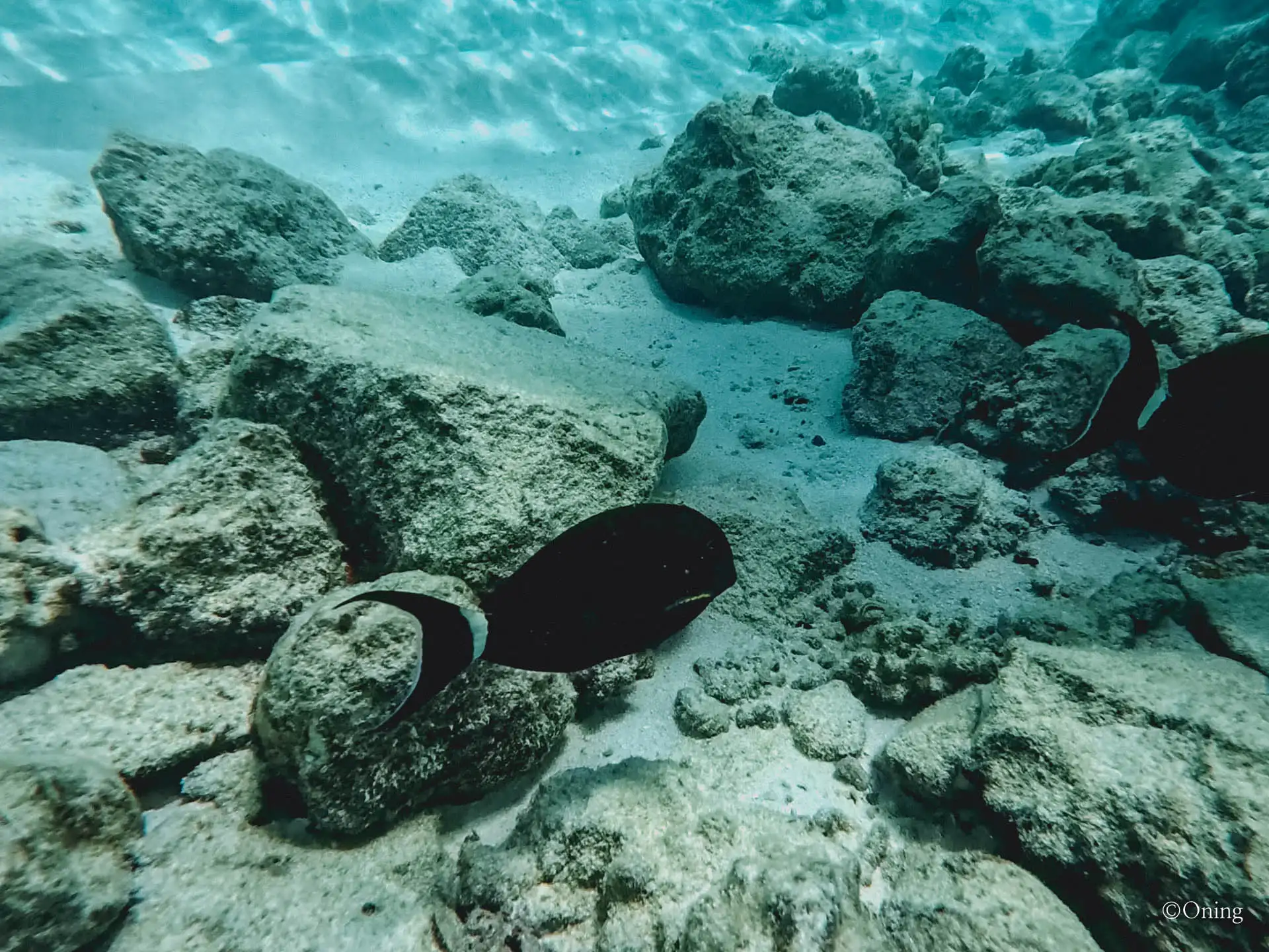 Cora Cora Maldives Resort Review: The Perfect All-Inclusive Family Paradise 450 Cora Cora Maldives Resort Review: The Perfect All-Inclusive Family Paradise 449