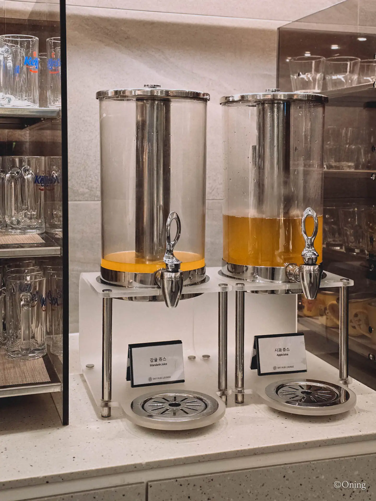 Incheon to Maldives via Singapore: Best Changi Airport Lounge & Singapore Airlines Review 103 Incheon to Maldives via Singapore: Best Changi Airport Lounge & Singapore Airlines Review 102