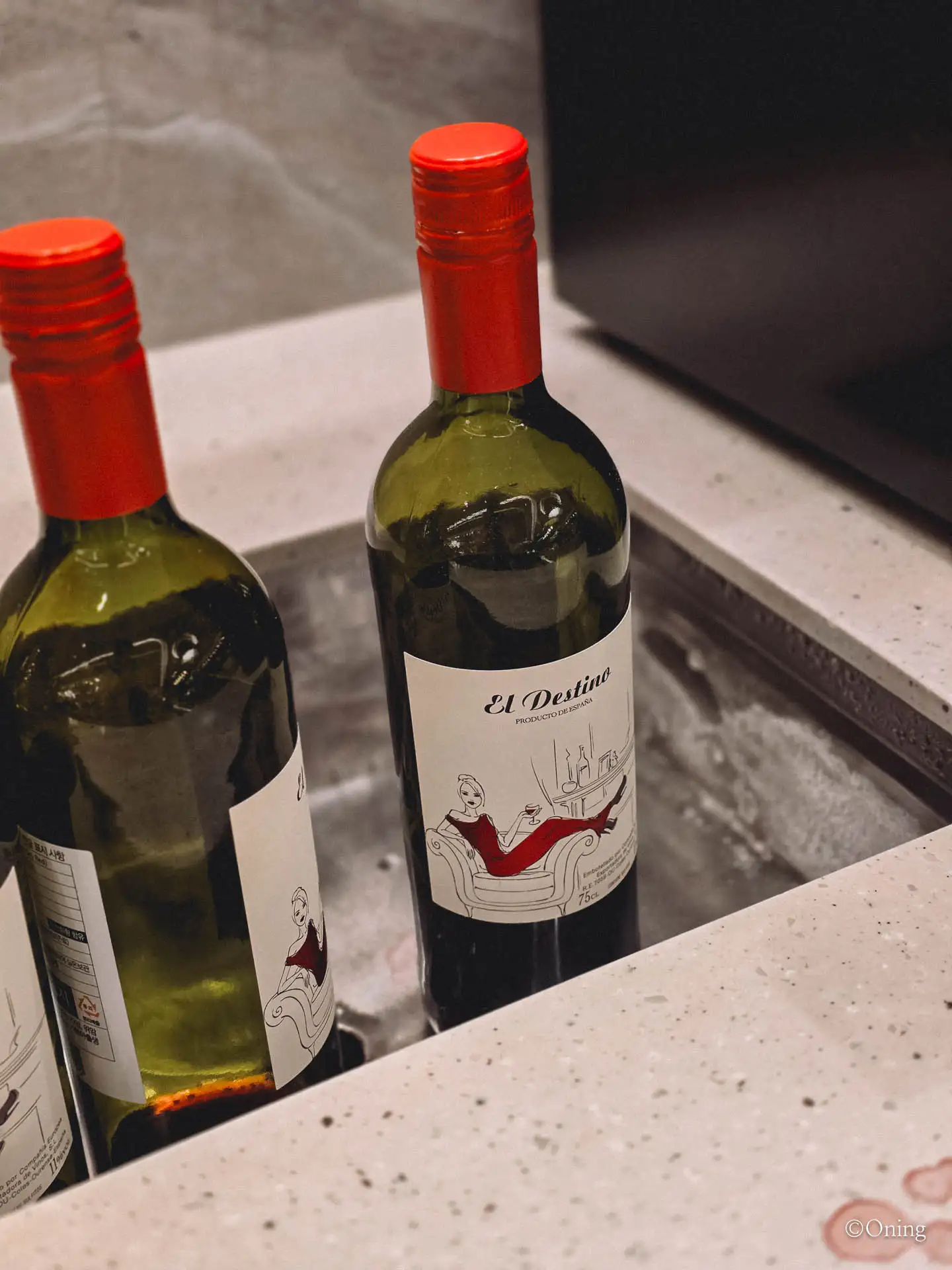 Incheon to Maldives via Singapore: Best Changi Airport Lounge & Singapore Airlines Review 107 Incheon to Maldives via Singapore: Best Changi Airport Lounge & Singapore Airlines Review 106