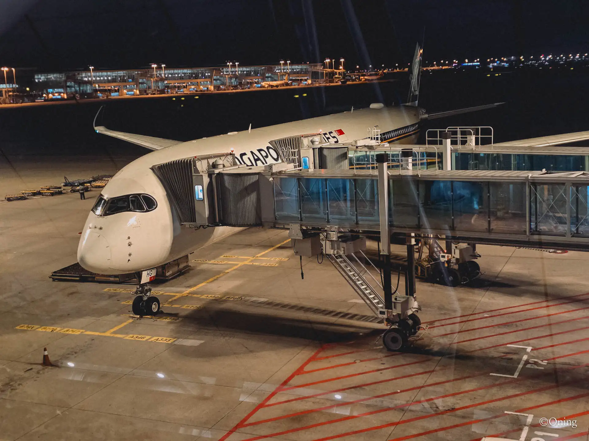 Incheon to Maldives via Singapore: Best Changi Airport Lounge & Singapore Airlines Review 109 Incheon to Maldives via Singapore: Best Changi Airport Lounge & Singapore Airlines Review 108