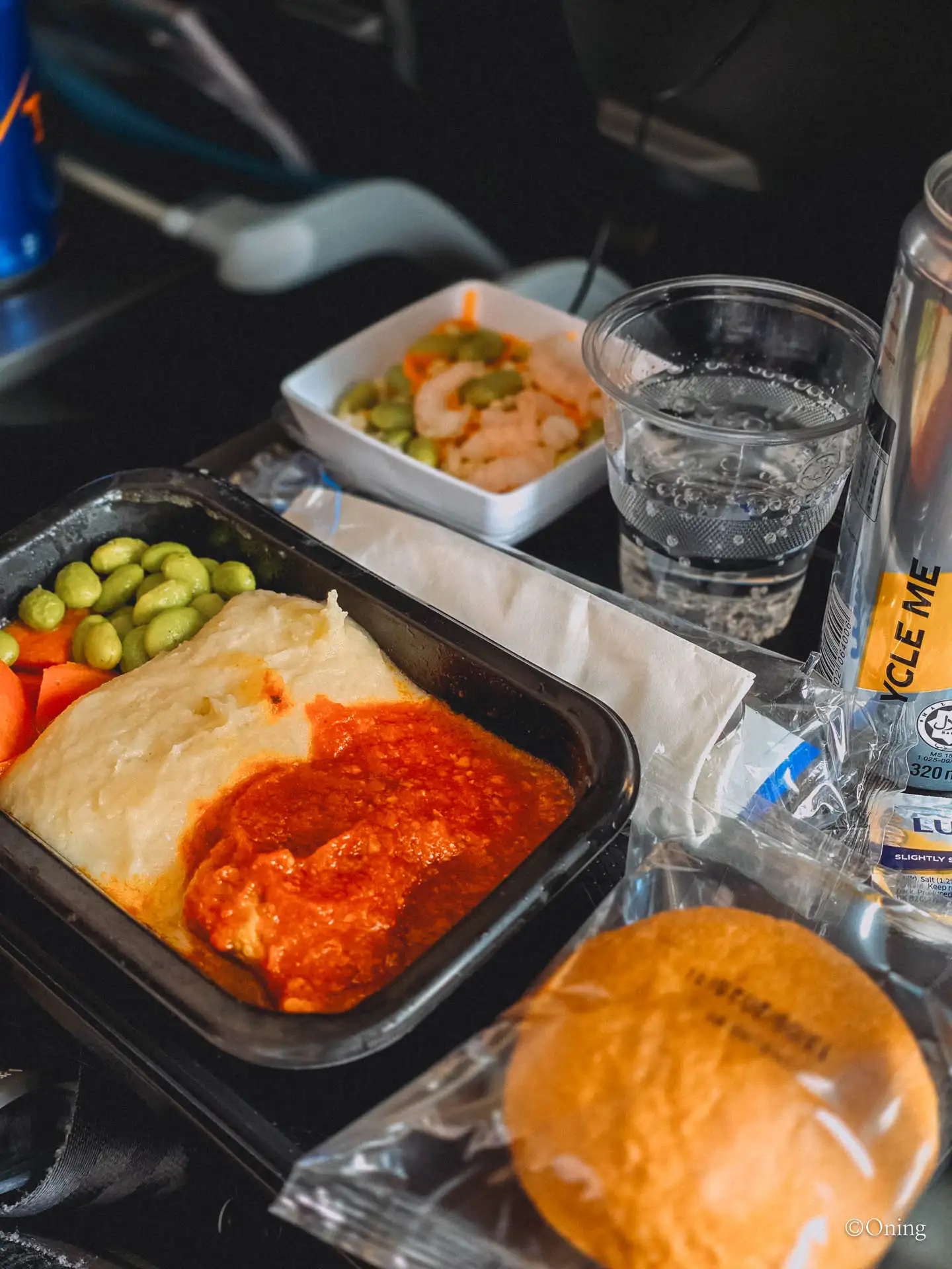 Incheon to Maldives via Singapore: Best Changi Airport Lounge & Singapore Airlines Review 155 Incheon to Maldives via Singapore: Best Changi Airport Lounge & Singapore Airlines Review 154