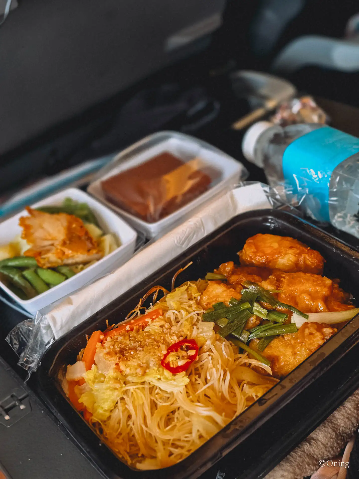 Incheon to Maldives via Singapore: Best Changi Airport Lounge & Singapore Airlines Review 161 Incheon to Maldives via Singapore: Best Changi Airport Lounge & Singapore Airlines Review 160