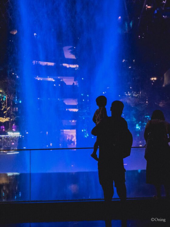 Incheon to Maldives via Singapore: Best Changi Airport Lounge & Singapore Airlines Review 1