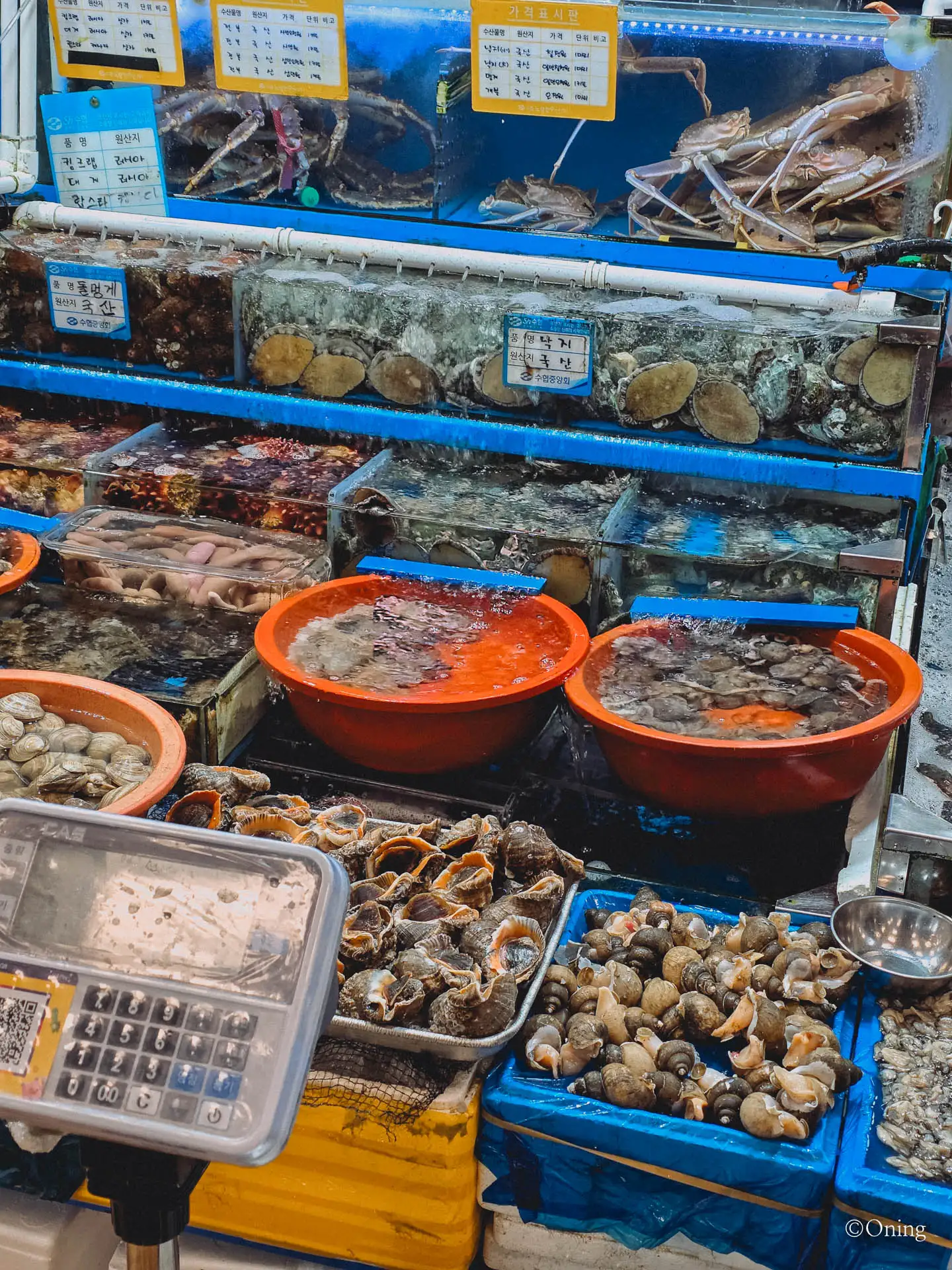 Food in Korea: Winter Seasonal Delicacy, Rich and Savory Bangeo-Hoe(방어회) 65