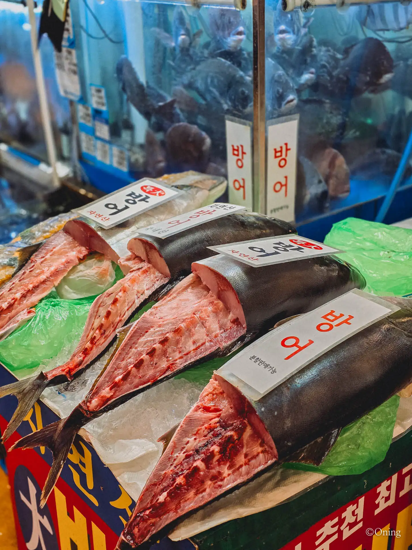 Food in Korea: Winter Seasonal Delicacy, Rich and Savory Bangeo-Hoe(방어회) 67