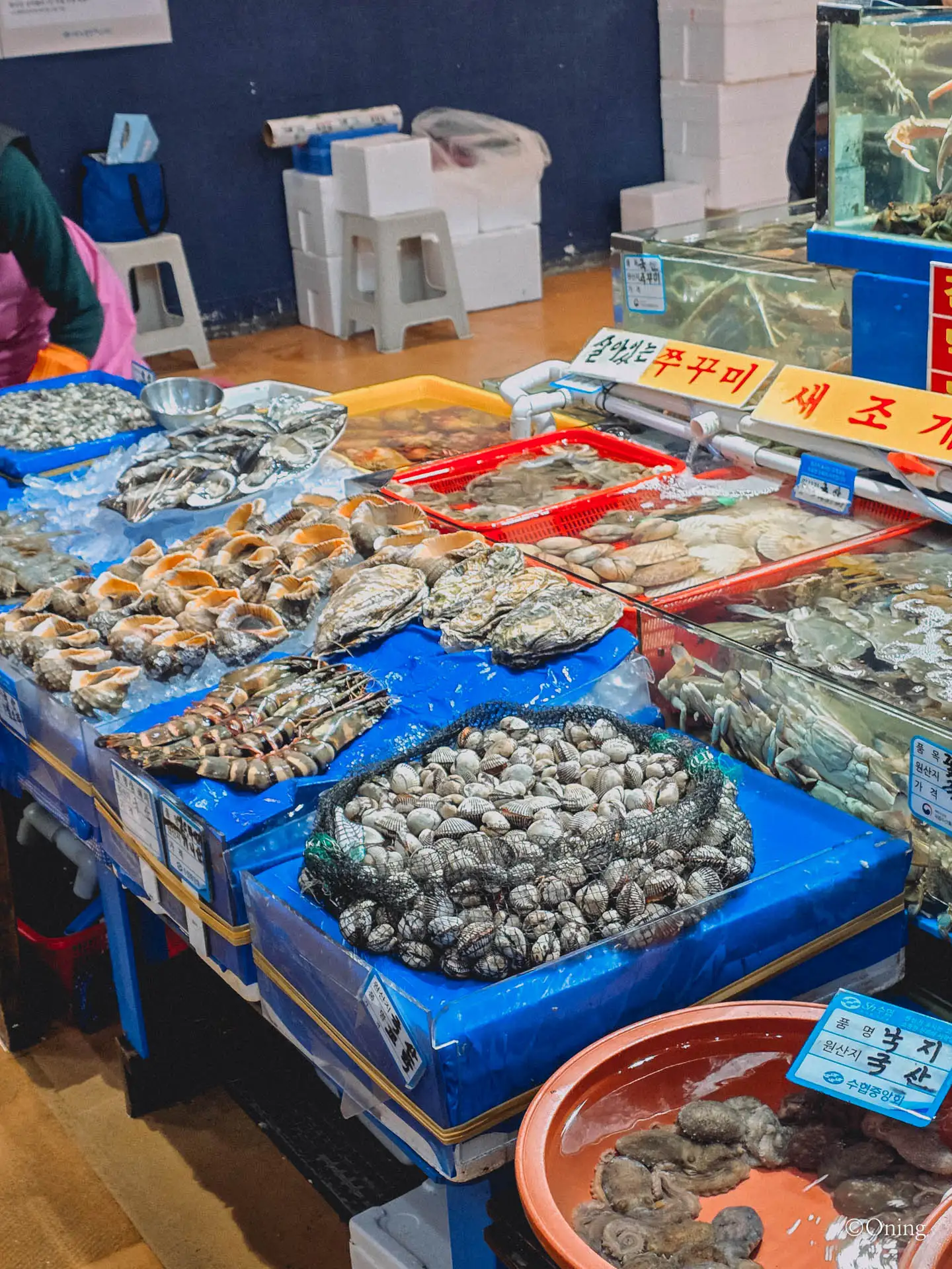 Food in Korea: Winter Seasonal Delicacy, Rich and Savory Bangeo-Hoe(방어회) 69