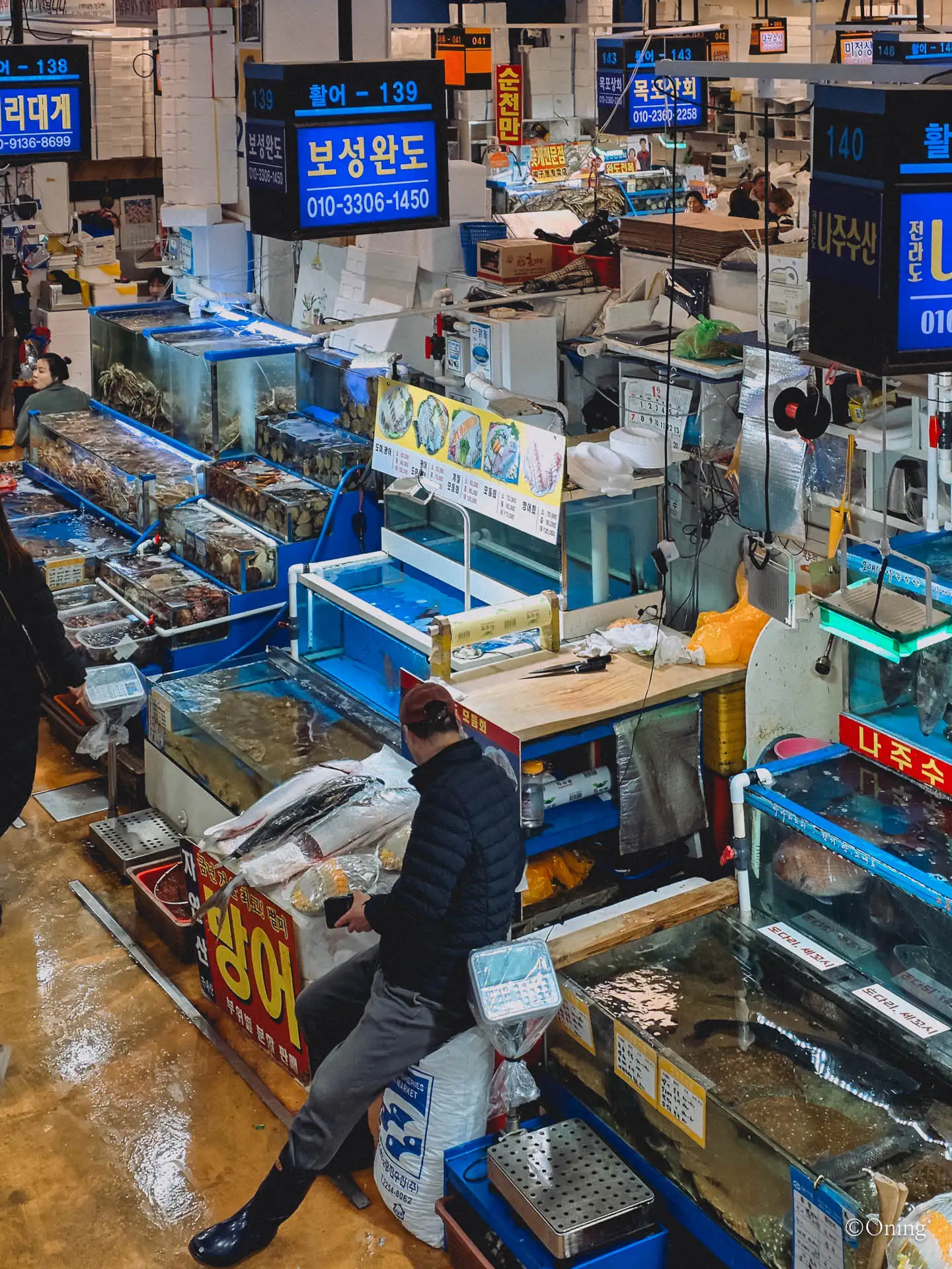 Food in Korea: Winter Seasonal Delicacy, Rich and Savory Bangeo-Hoe(방어회) 71