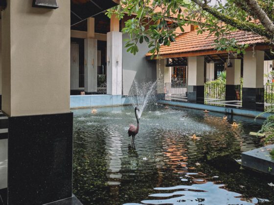 hotel in sentosa_sofitel singapore sentosa