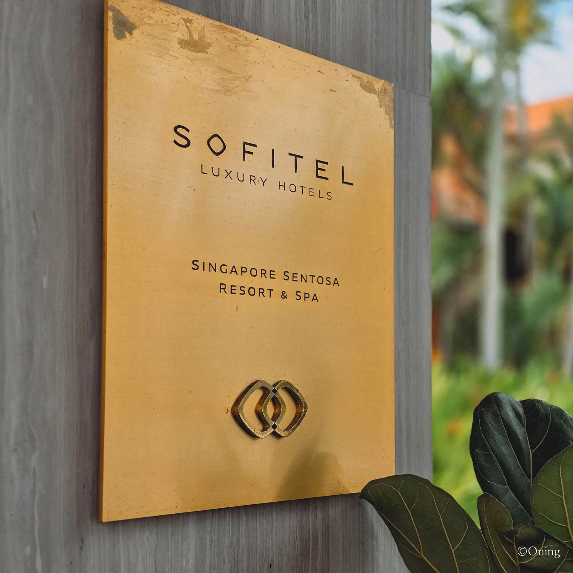 Hotel in sentosa: Sofitel Singapre Sentosa Resort & Spa