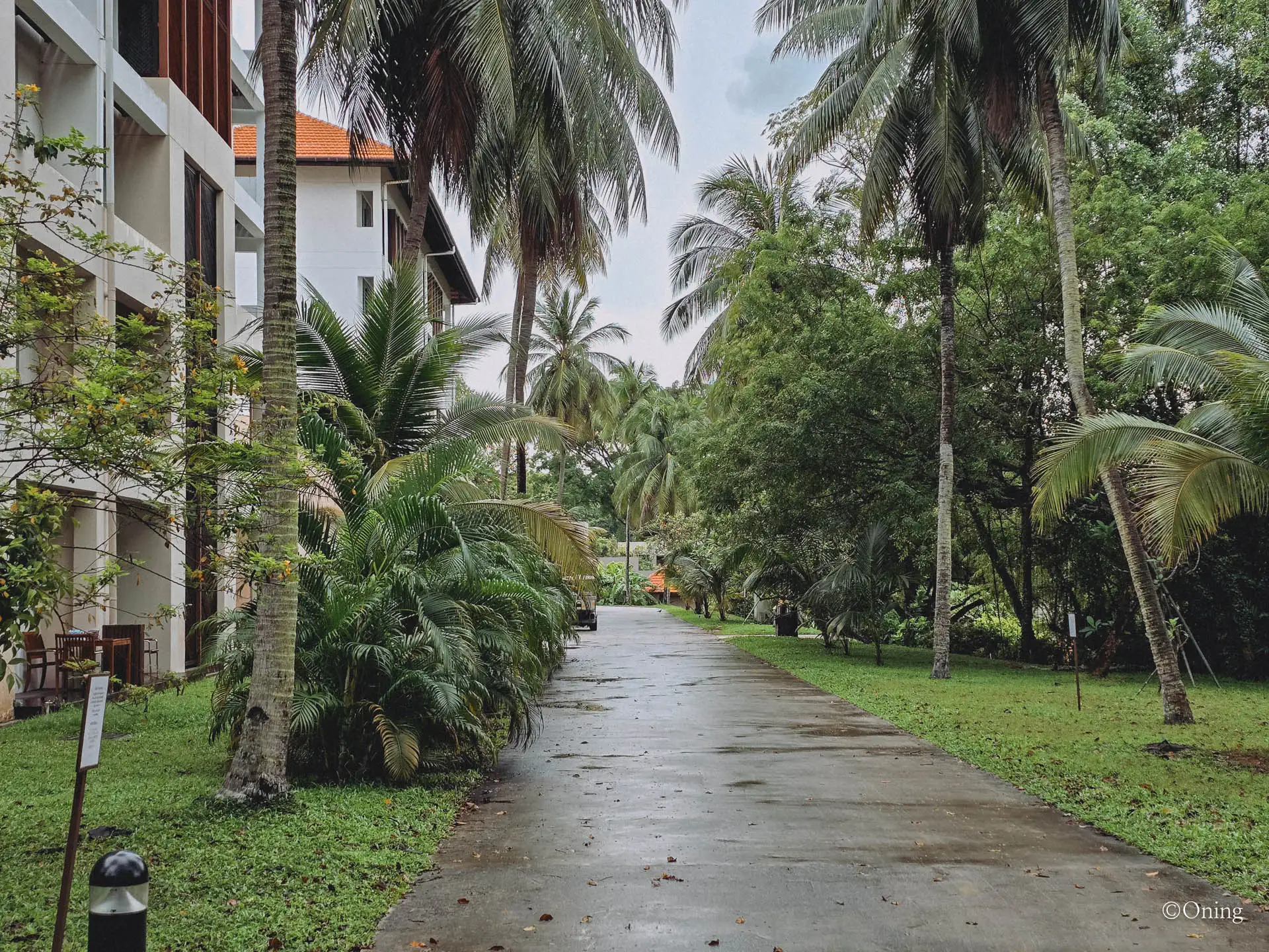 Sofitel Singapore Sentosa Resort & Spa: A Stunning Hotel in Sentosa Island That Let Us Down 111