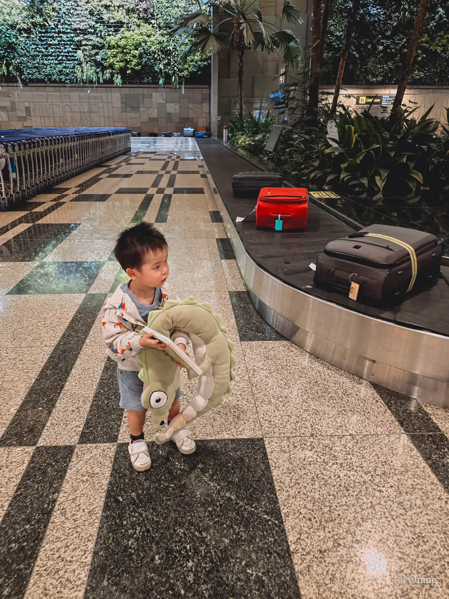 A toddler with a dinosaur pillow waiting at the baggage carousel at Changi Airport